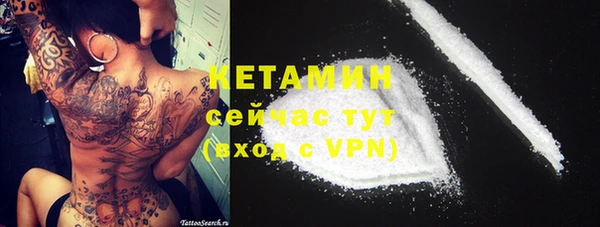 твердый Инсар