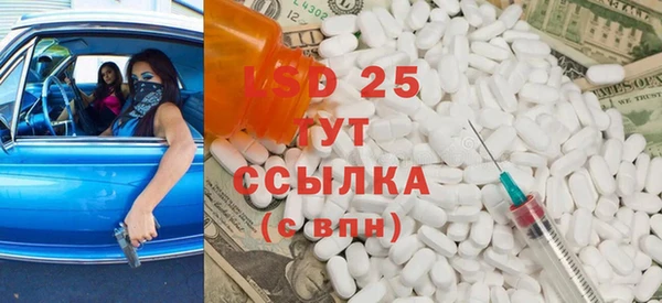 ПСИЛОЦИБИНОВЫЕ ГРИБЫ Алзамай