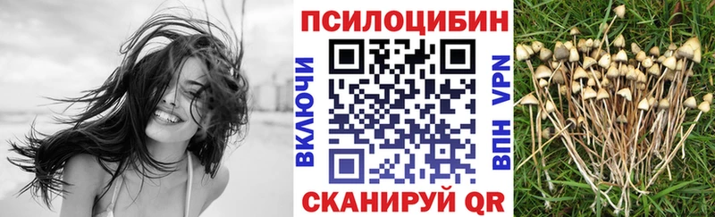 ссылка на мегу рабочий сайт  Белый  Галлюциногенные грибы прущие грибы 